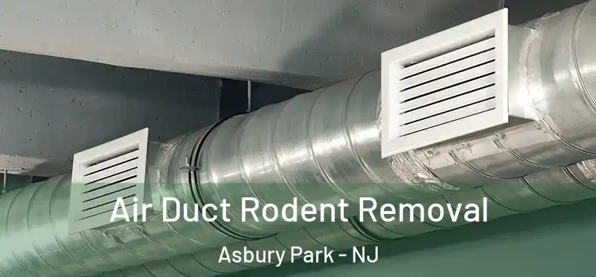  Air Duct Rodent Removal Asbury Park - NJ