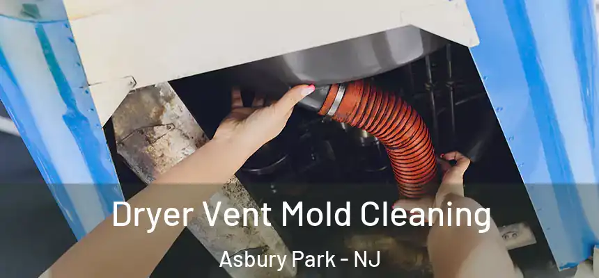  Dryer Vent Mold Cleaning Asbury Park - NJ