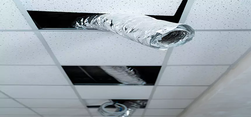 Affordable HVAC Sanitizing After Pest Removal in Asbury Park