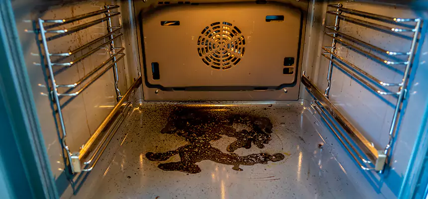 Our Dryer Vent Mold Cleaning Services in Asbury Park, NJ