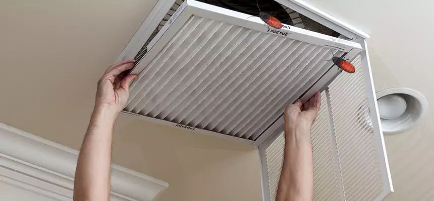 Our Insect Removal from Air Ducts Services in Asbury Park, NJ