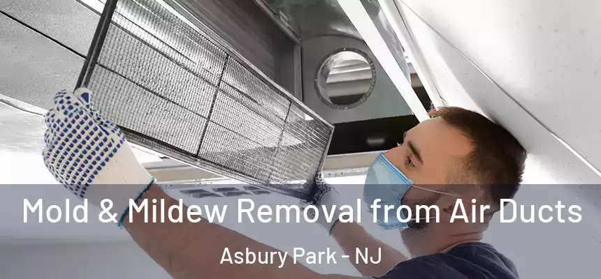 Mold & Mildew Removal from Air Ducts Asbury Park - NJ