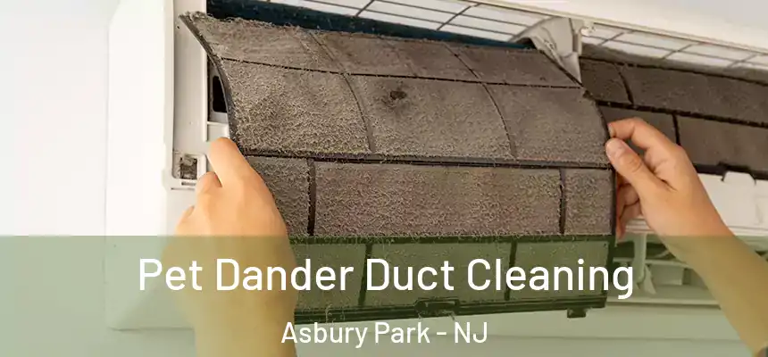  Pet Dander Duct Cleaning Asbury Park - NJ