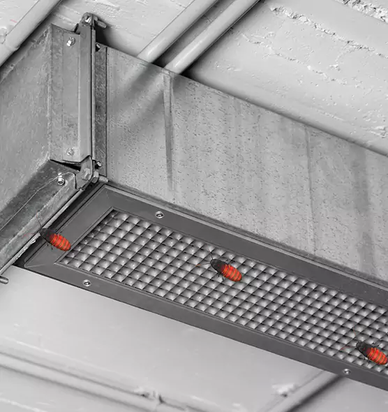 About Air Duct Cockroach Removal in Asbury Park, NJ