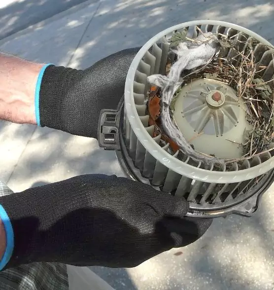 About Air Duct Mice Removal in Asbury Park, NJ