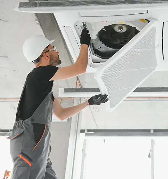 About Air Duct Rodent Removal in Asbury Park, NJ