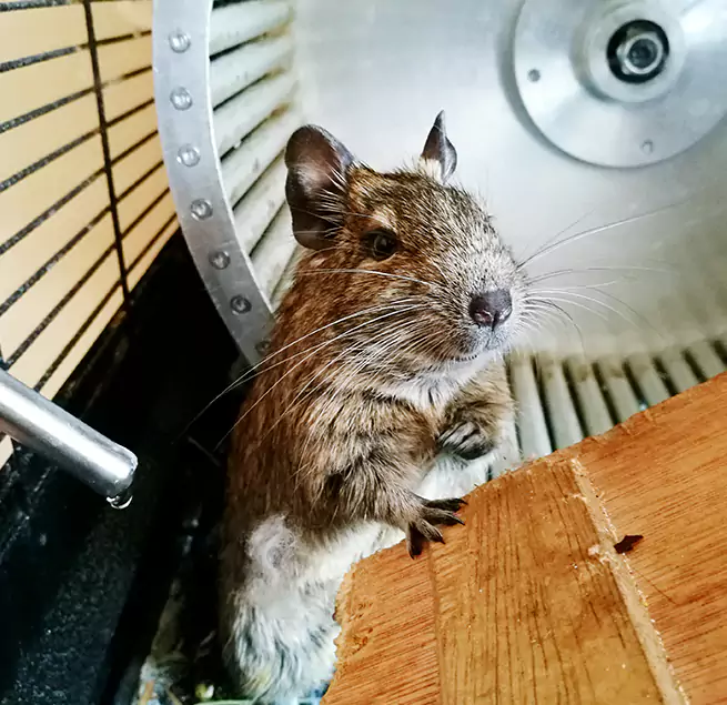 Why Homeowners & Businesses Trust Us Asbury Park, NJ?