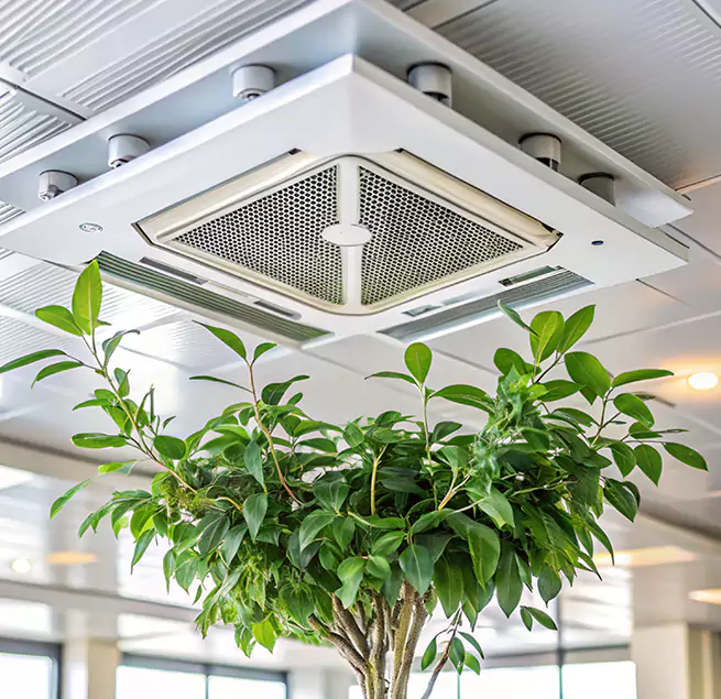 Why Homeowners & Businesses Trust Us in Asbury Park, NJ